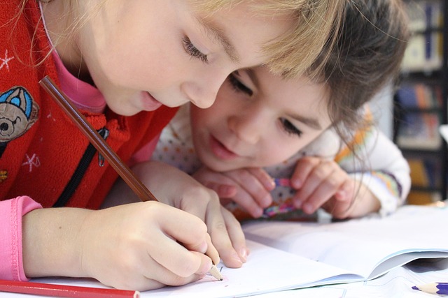 Online Nachhilfe für Kinder? 4 Faktoren die beachten werden sollten